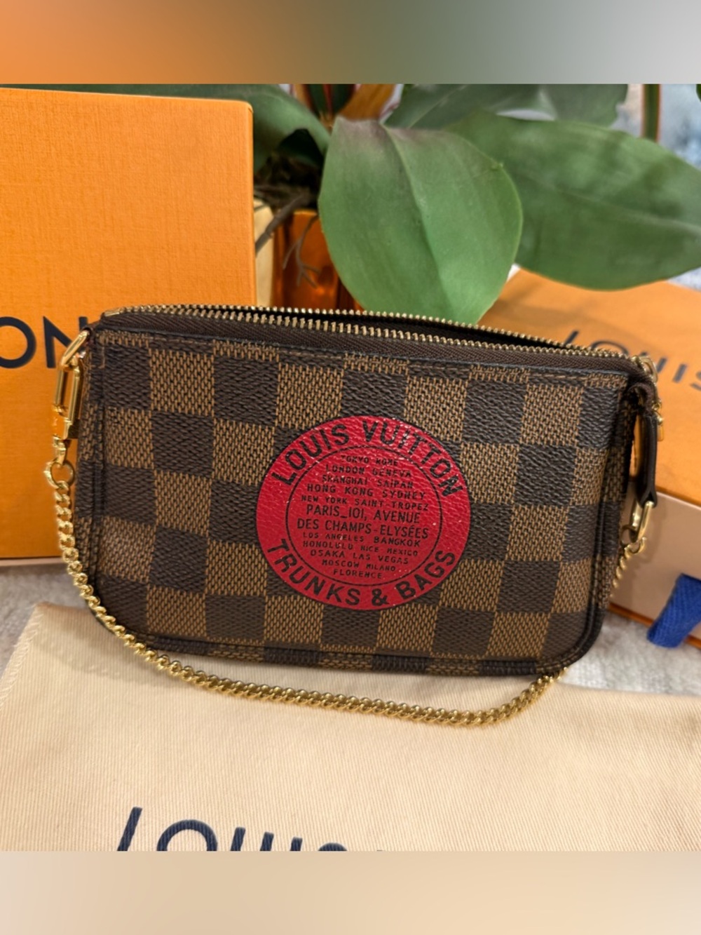 LIMITED EDITION Louis Vuitton Pochette Accessoires Damier Mini